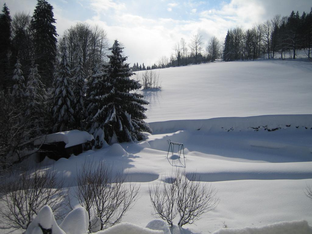 Nové Město nad MetujíChalet Lomy别墅 客房 照片
